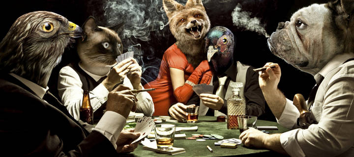 Забавные истории о казино